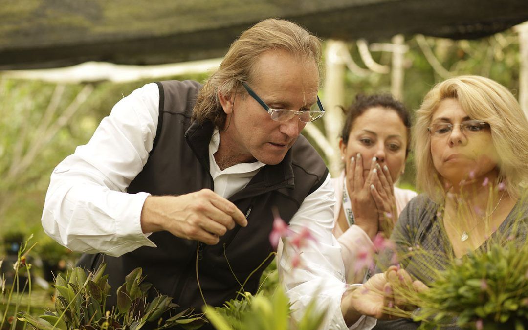 Protocolo de introducción de nuevas plantas a tu casa o invernadero