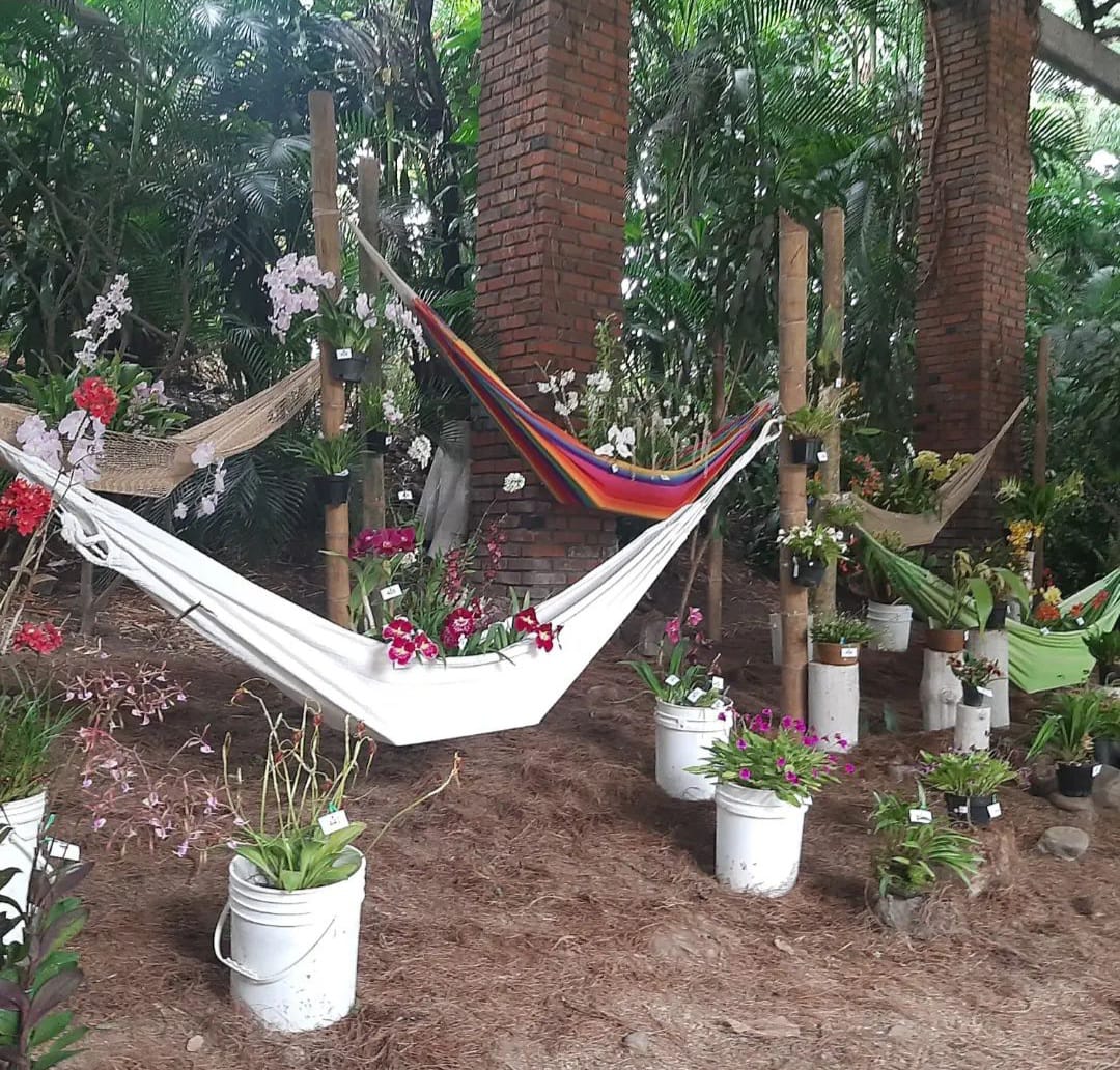 Exposición Caliorquideas course image