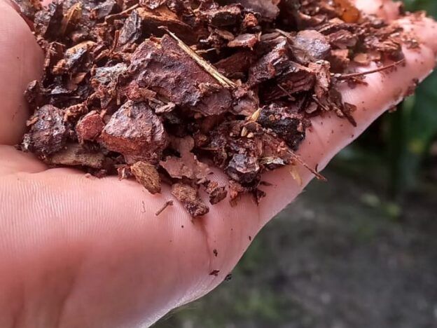 PH en sustratos y agua para orquídeas course image