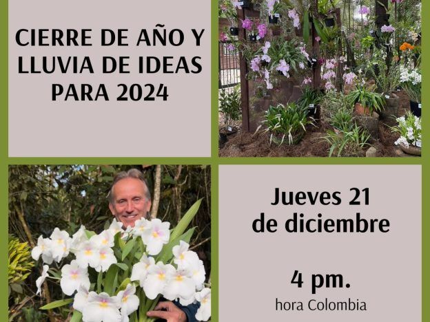 Cierre de año course image