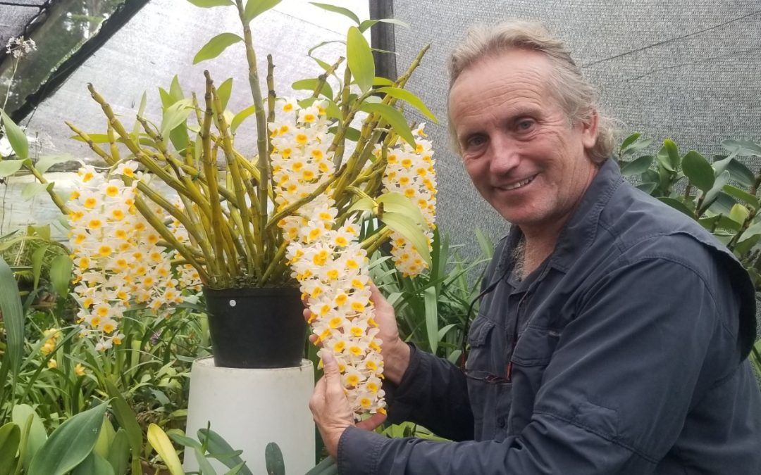Aprendiendo juntos Clase Presencial