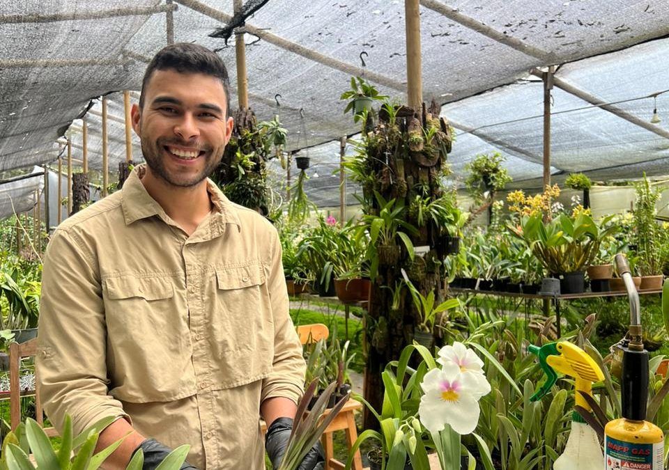 Resiembra de orquídeas