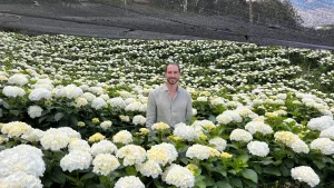 Tour Hortensias y Caballos